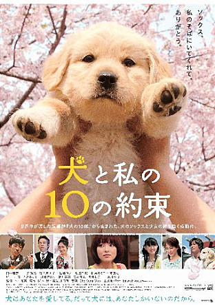강아지와 나의 10가지 약속 – 얼마나 지키고 있으신가요?