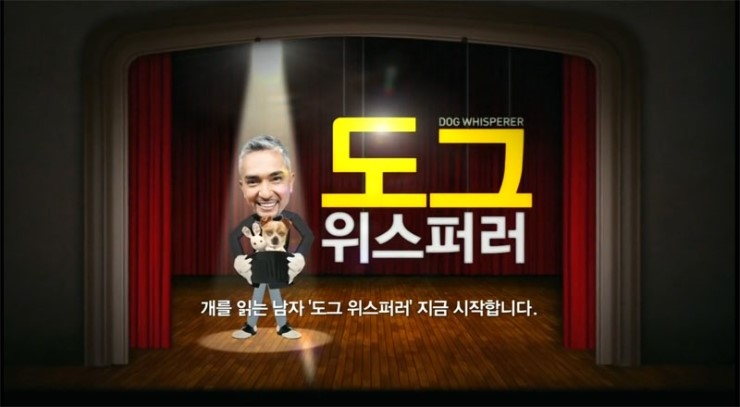 [도그위스퍼러]로 보는 시저밀란의 개 훈련법! – 사나운개 훈련시키기2